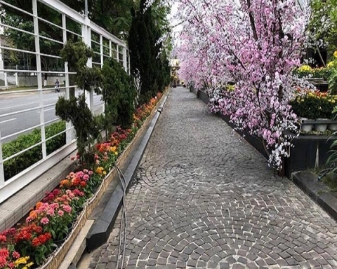 3Vgroup Chuyên Cung Cấp Đá Ốp Lát Sân Vườn Tại Sóc Trăng