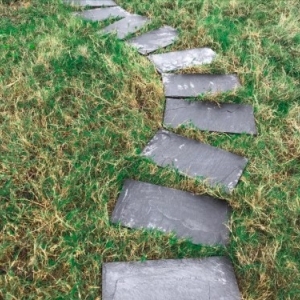 Bazan bước dặm phiến