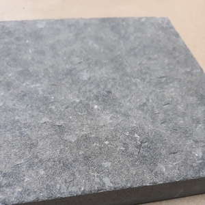 Bazan xám đốt chải