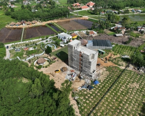 Đá Tổ Ong - Tổ Kiến Định Hình Bảng Lớn Cho Khách 3VGroup