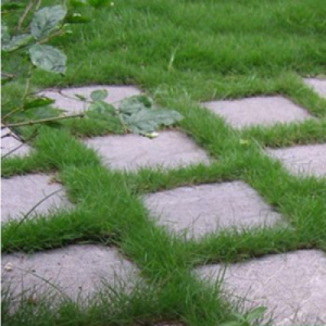 Đá tự nhiên lát sân vườn 13